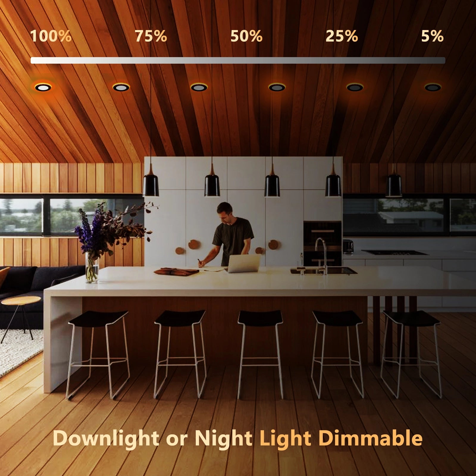dimmable led recessed lighting with night light